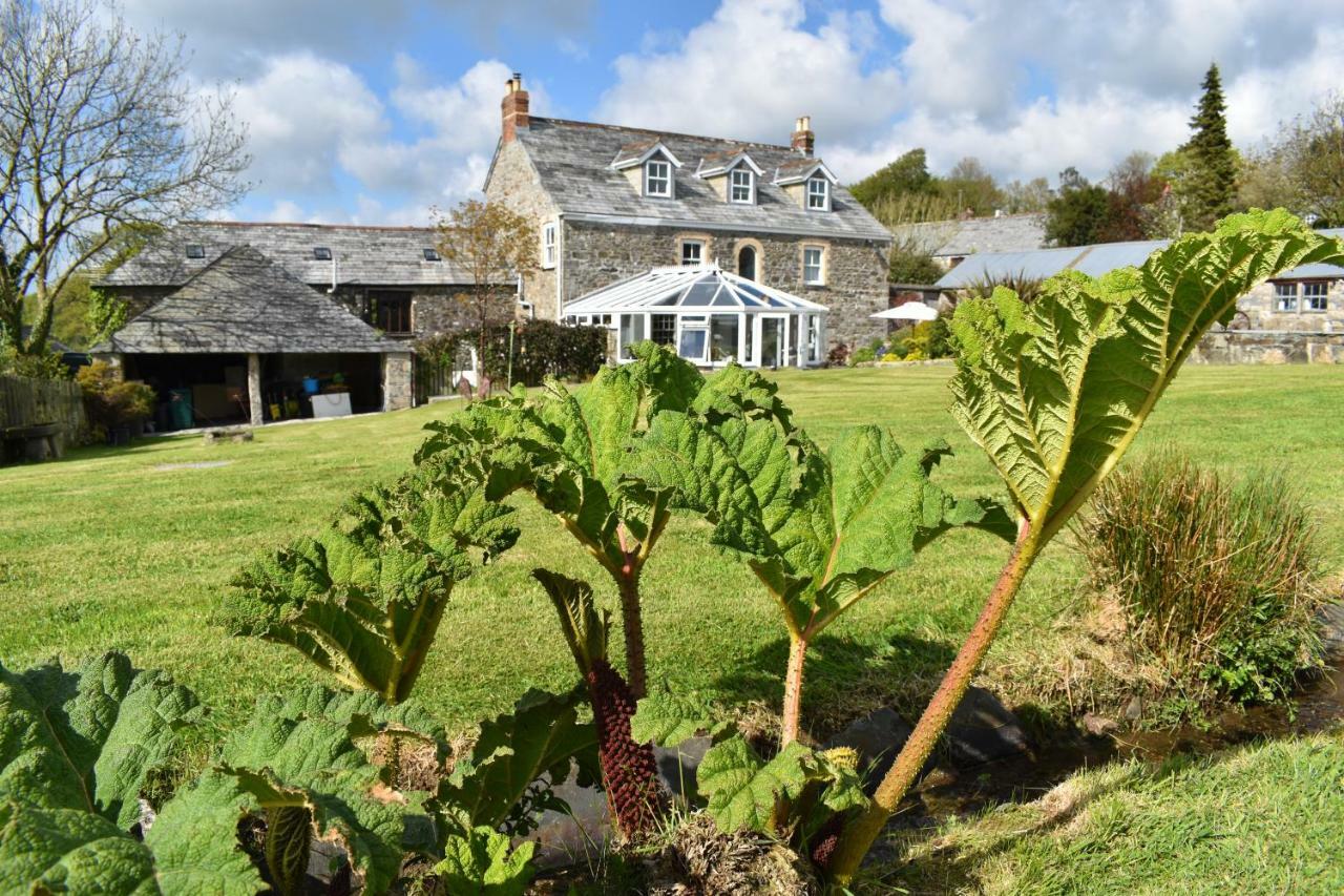 Treveighan Farmhouse Saint Teath Ngoại thất bức ảnh